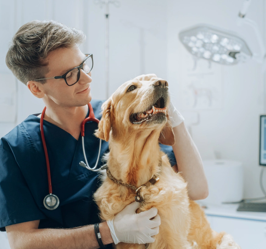 When Your Business Can Borrow Money Without You