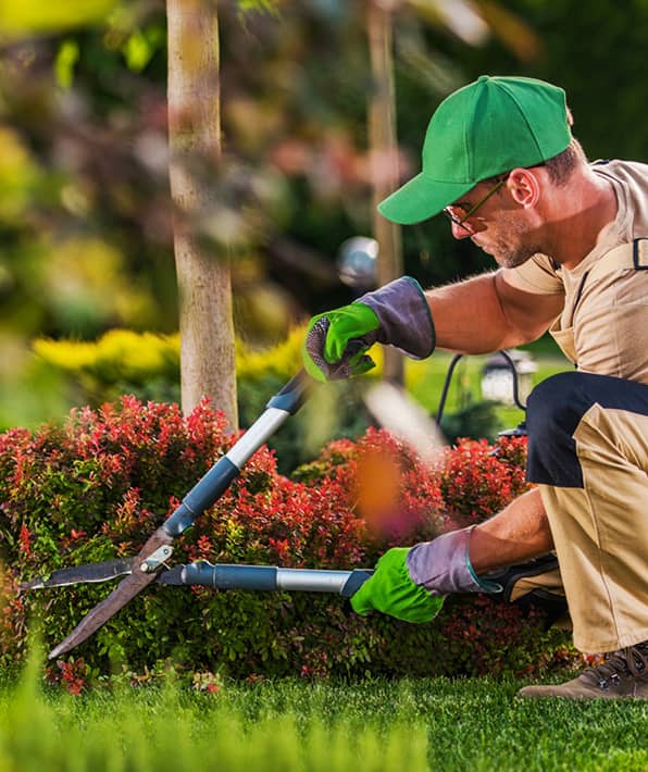 How to use a startup loan to launch your business 