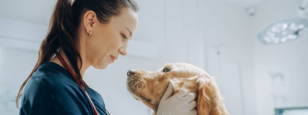 What is a medical practice business loan?